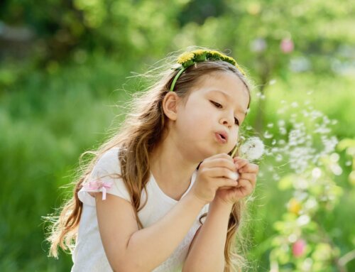 How to Control Summer Allergies with Professional Cleaning in Atlanta