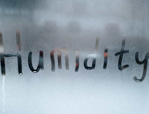 How Professional Cleaning Can Combat Summer Humidity in Atlanta Homes